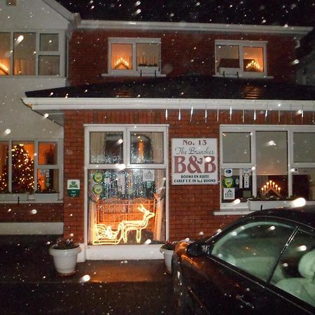 The Branches B&B Galway Zewnętrze zdjęcie